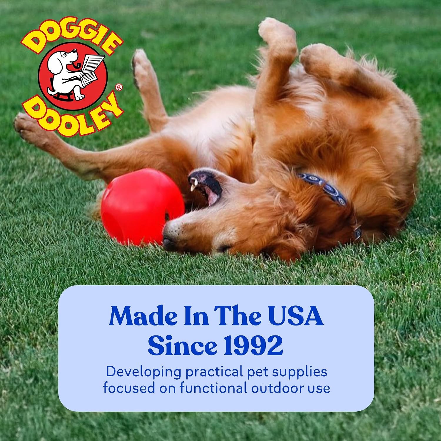 Virtually Indestructible Dog Ball – 10 Inch Hard Plastic Interactive Toy for