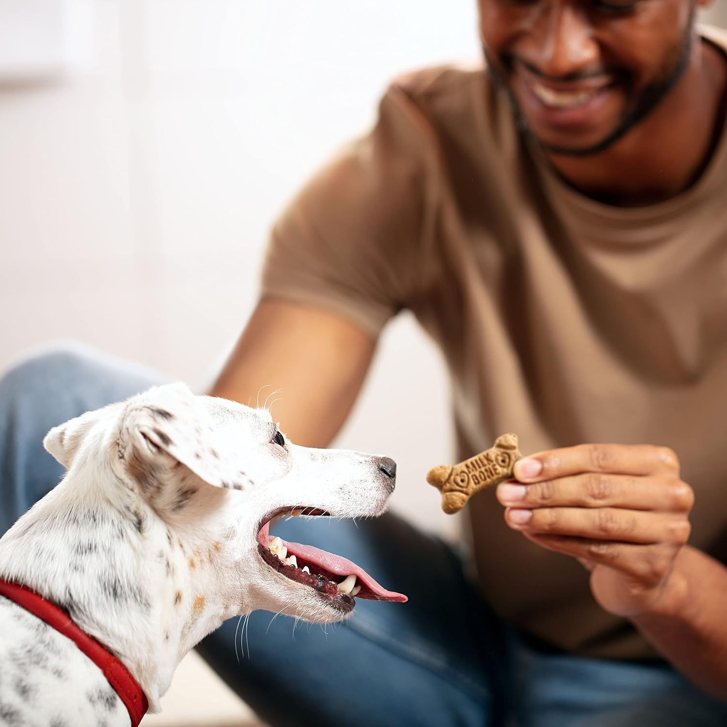 Milk-Bone Flavor Snacks Dog Treats, Small Biscuits, 24 Ounce Crunchy Texture Hel