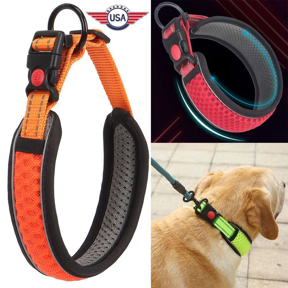 Dog Pet Adjustable Nylon Collar padded Reflective Small Medium Large With Buckle