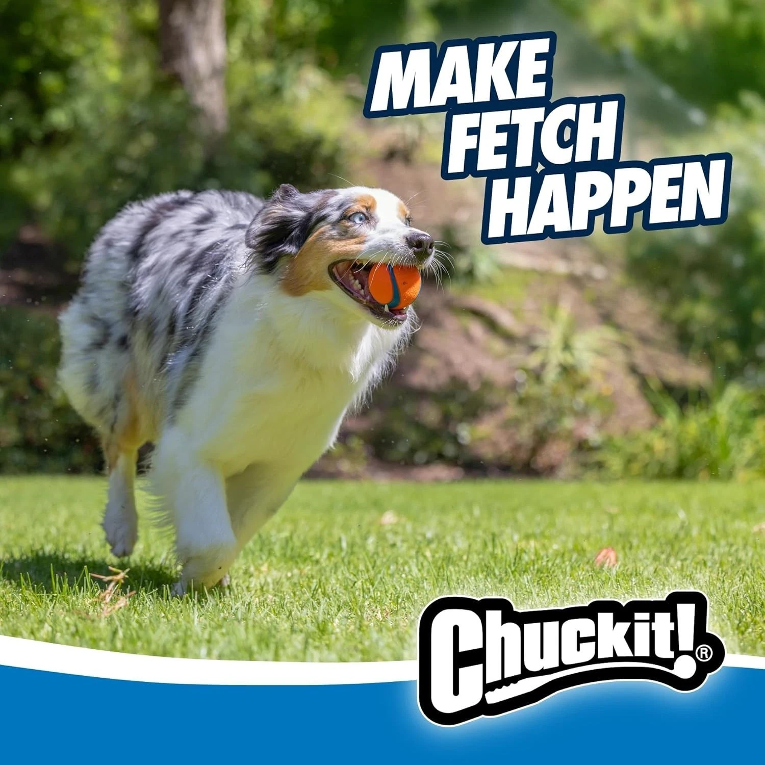 ChuckIt! Ultra Ball Dog Toy, Durable High Bounce Rubber Dog Ball, Medium 2 pack