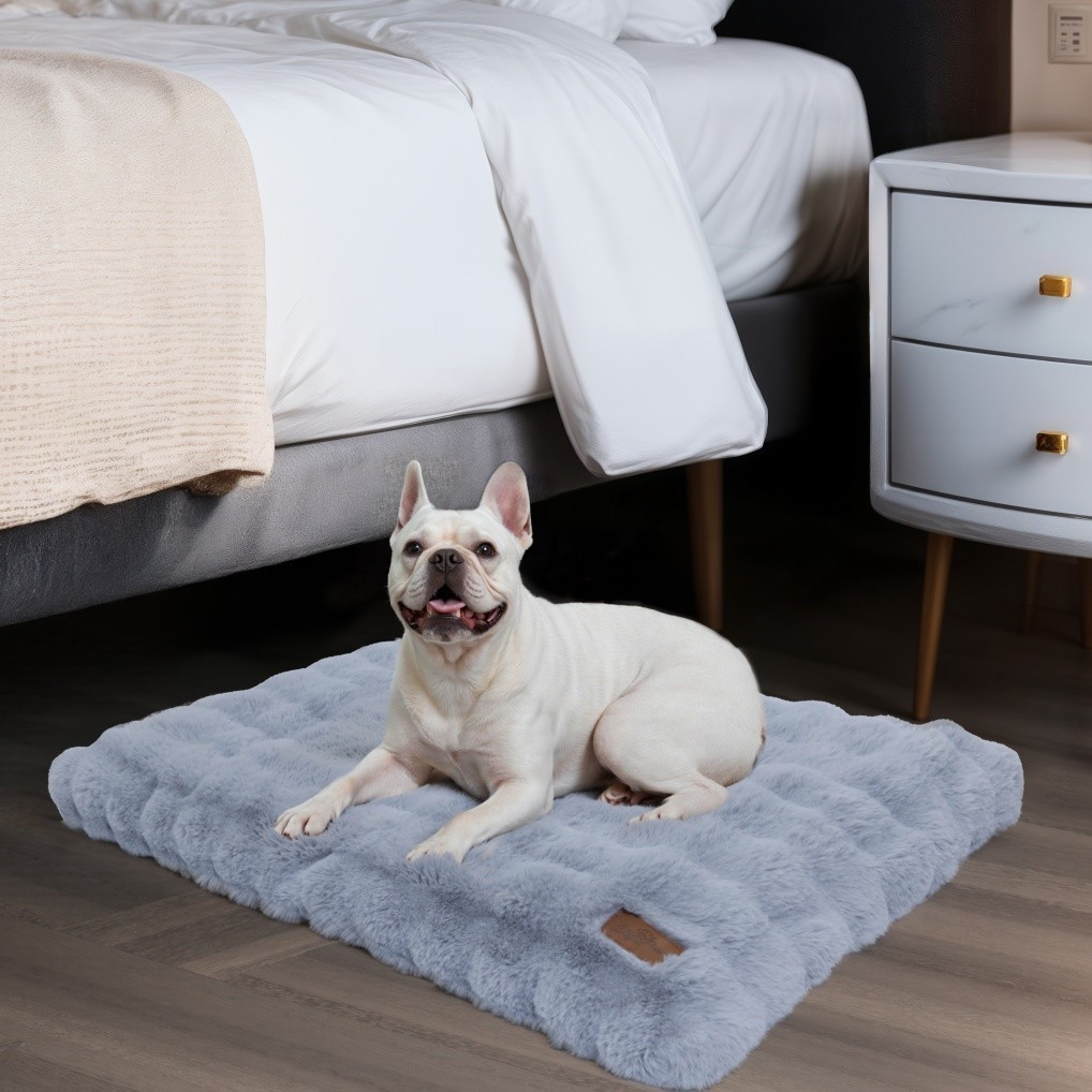 BingoPaw M L XL XXL XXXL XXXXL Dog Bed Soft Plush Anti Anxiety Pet Beds Washable