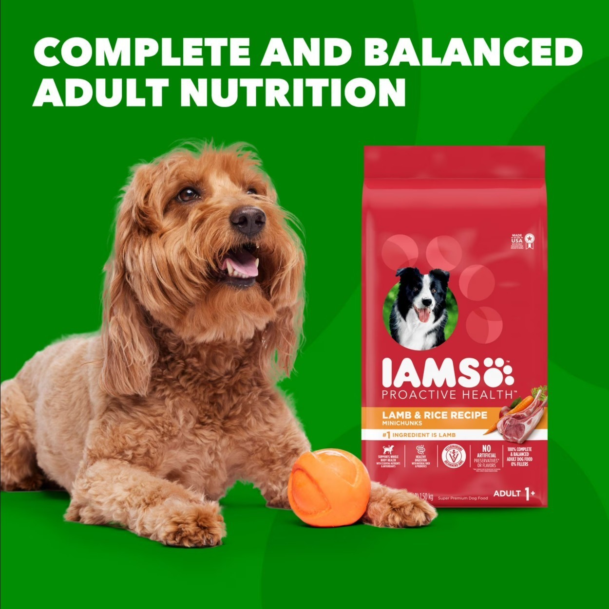 Iams Proactive Health Minichunks Dry Dog Food With Real Lamb & Rice, 30 Lb. Bag