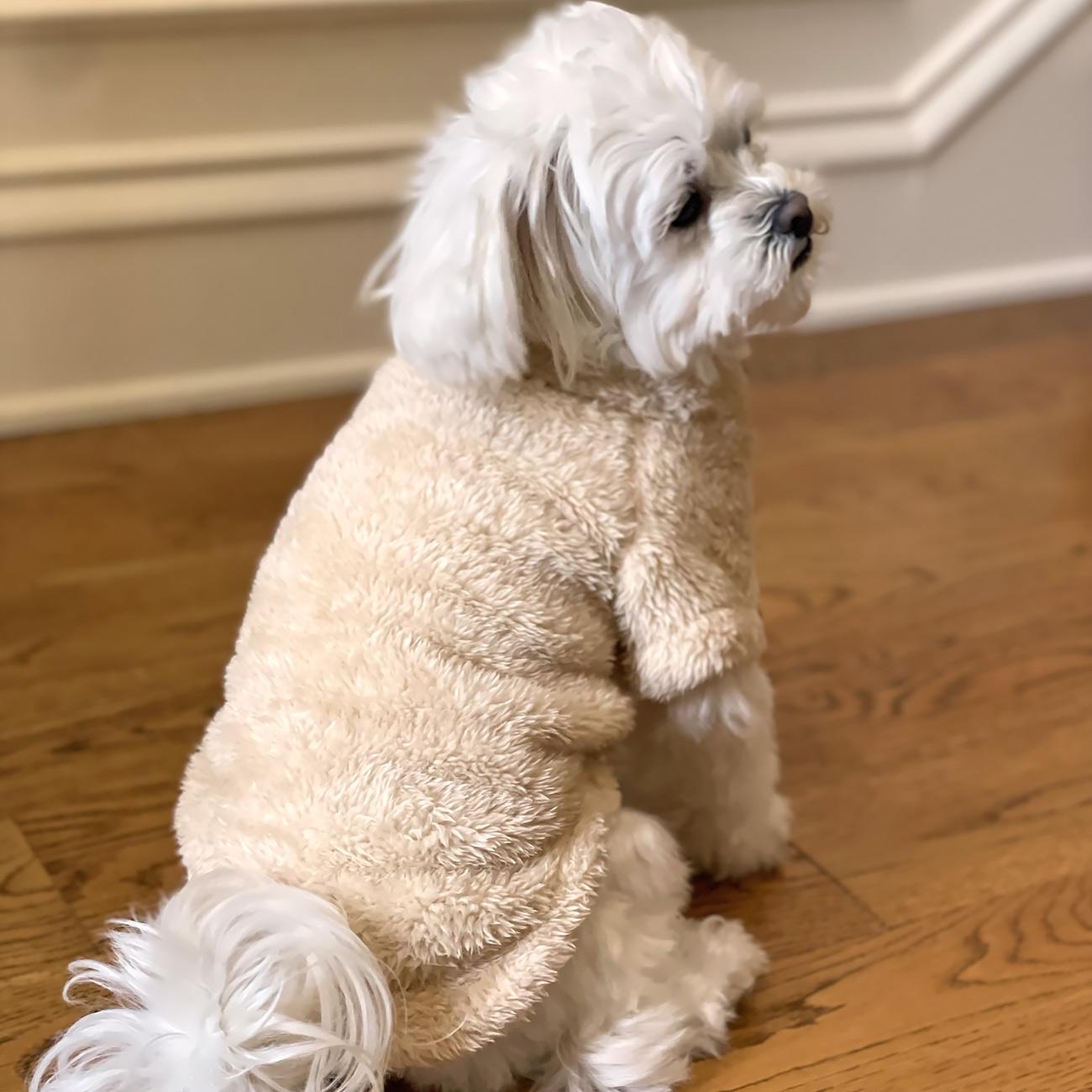 Dog Plush Pullover Jacket/Sweater- Cream Sizes XS – 4XL