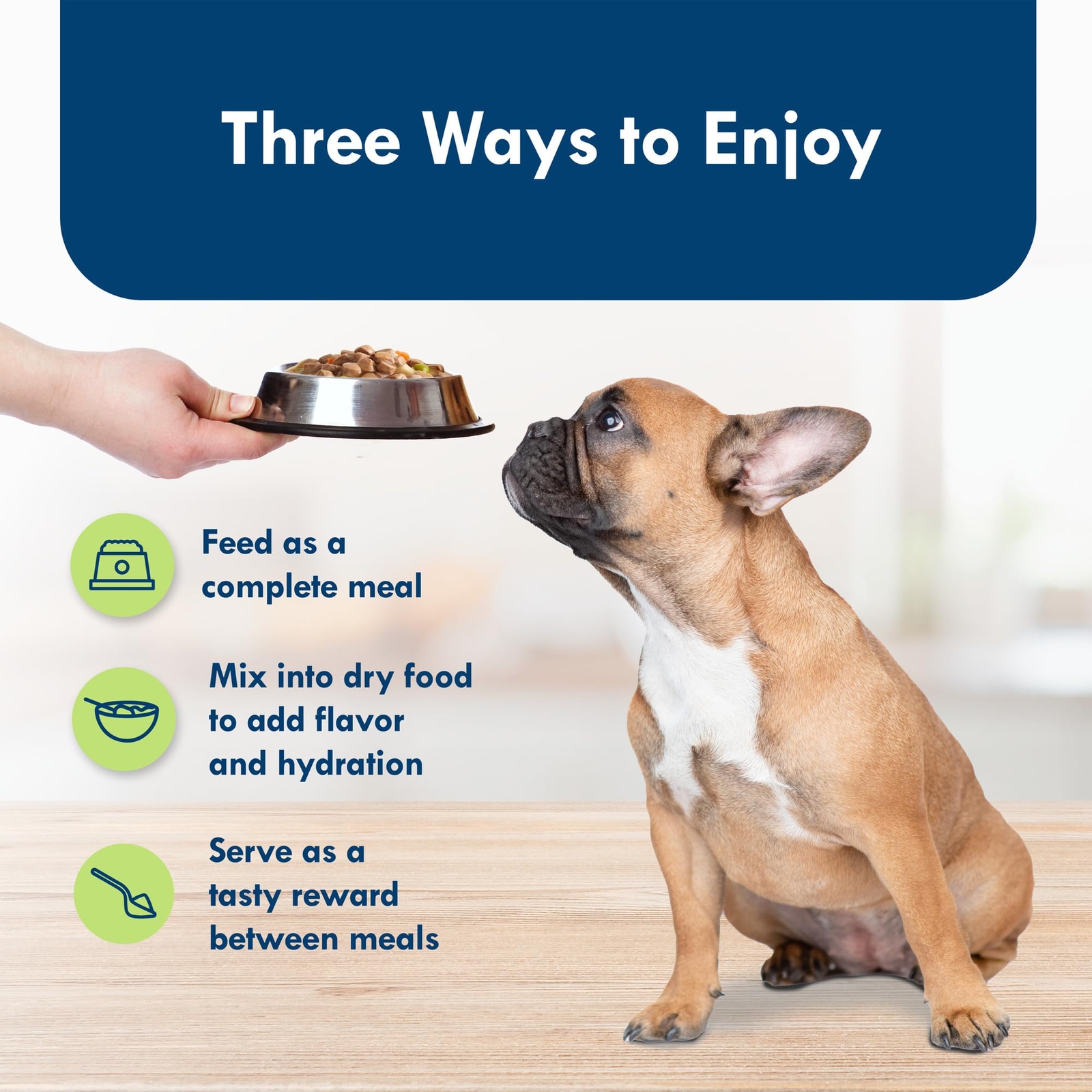 Blue Buffalo Divine Delights Filet Mignon Wet Dog Food for Small Breeds 12 Cups