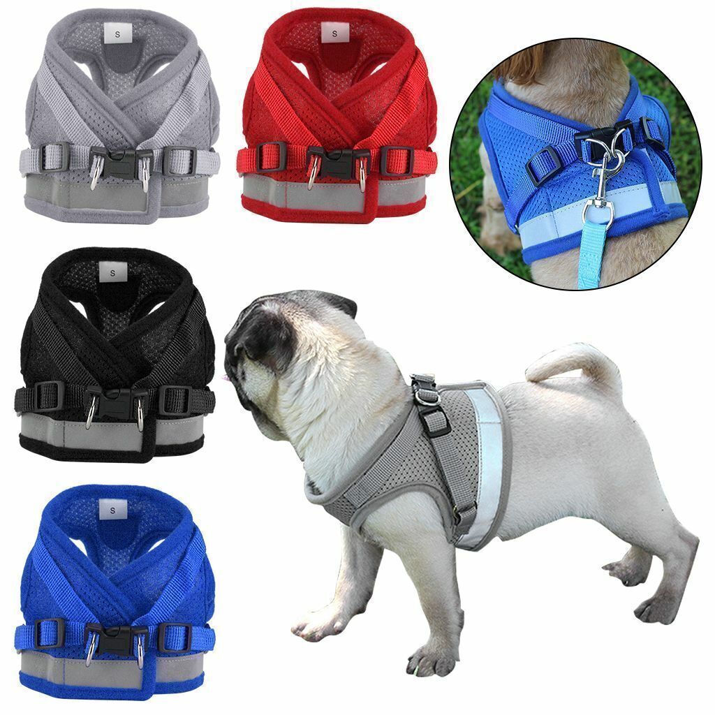 Dog Harness Chihuahua Pug Pet Control Mesh Walk Collar Vest Harnes and Leash Set