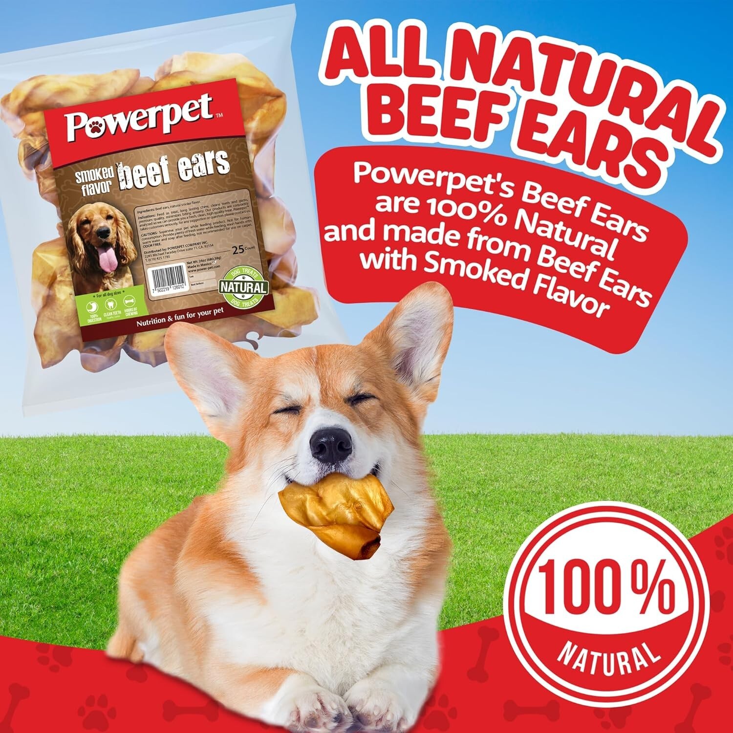 ALL NATURAL Beef SMOKED Cow Ears DOG Treats 25CT- FDA & USDA APPROVED-