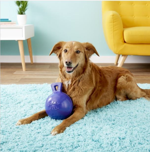 Jolly Pets Tug-n-Toss Heavy Duty Ball with Handle 8 Inches Purple Large Dog Toy
