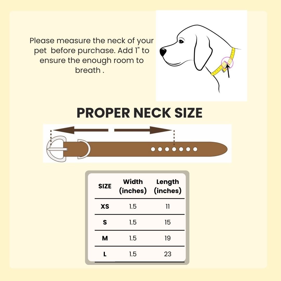Western Leather Handmade Pet Dog Collar Heavy Duty Hand Tooled Adjustable