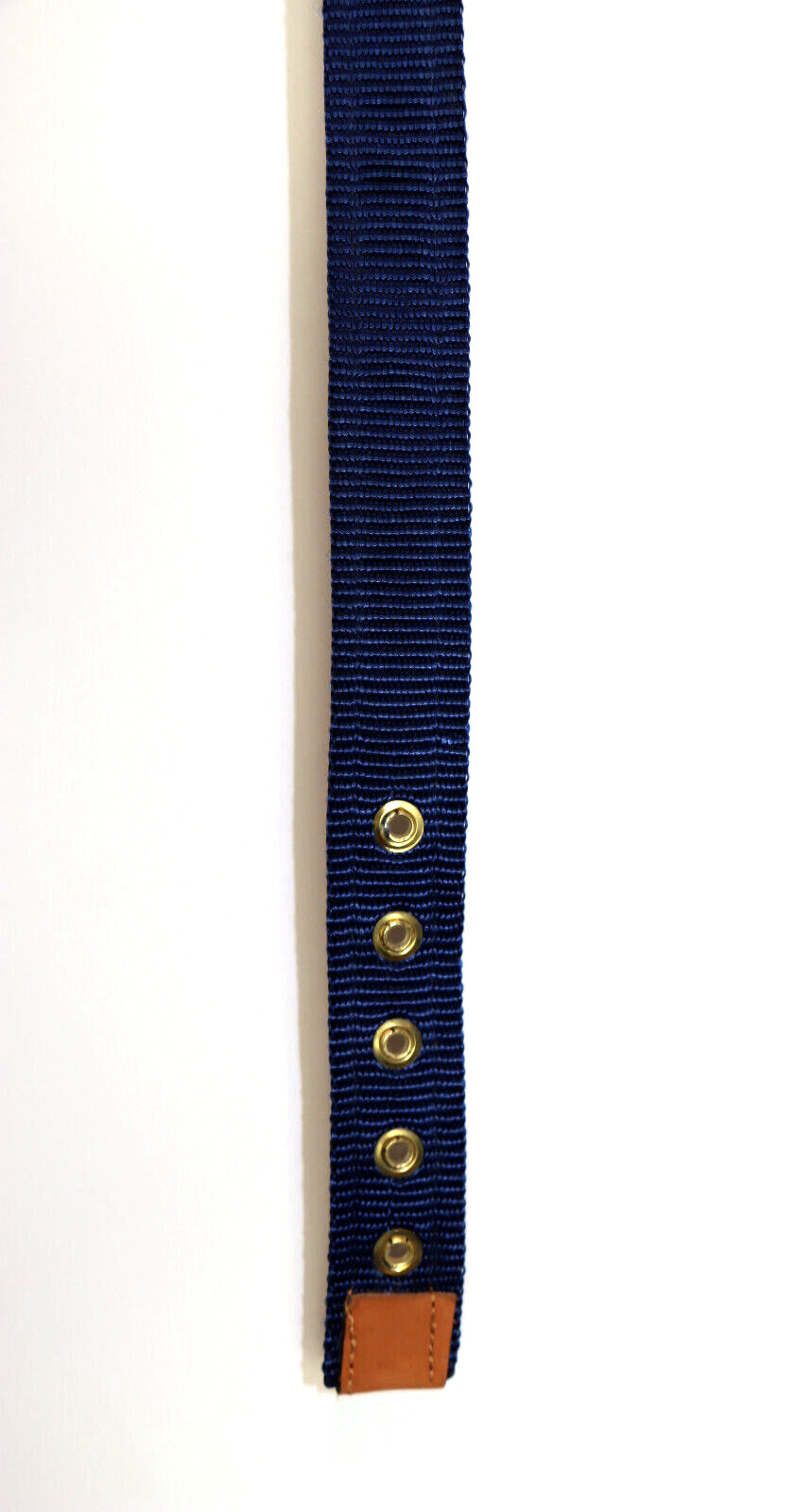 ZEP-PRO Brown Leather Blue Trim Fish Dog Collar 1-1/4″ Thick 26-1/2″ Long USA