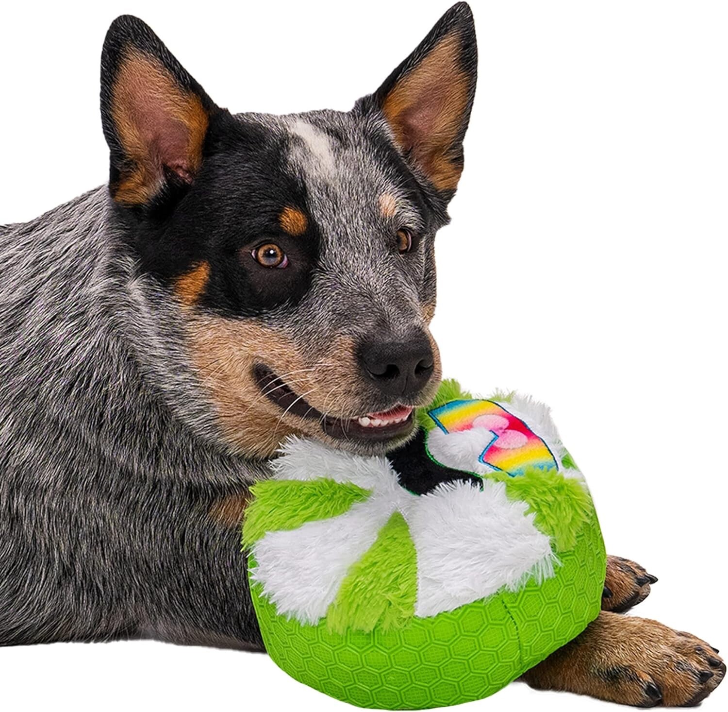 goDog Holiday Collection Mixed Materials TPE-Plush Cool Mint Squeaky Dog Toy