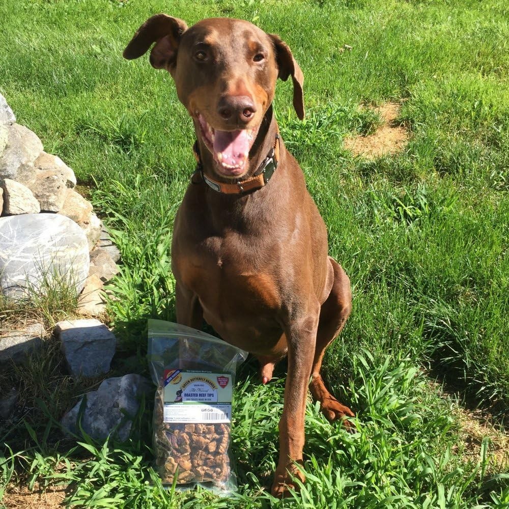 Beef Dog Treats – Made in USA Only – All Natural, Meaty Beef Tips – Premiu