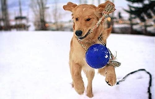 Jolly Pets Romp-n-Roll 6 inch Blueberry Rubber Ball with Rope for Dogs