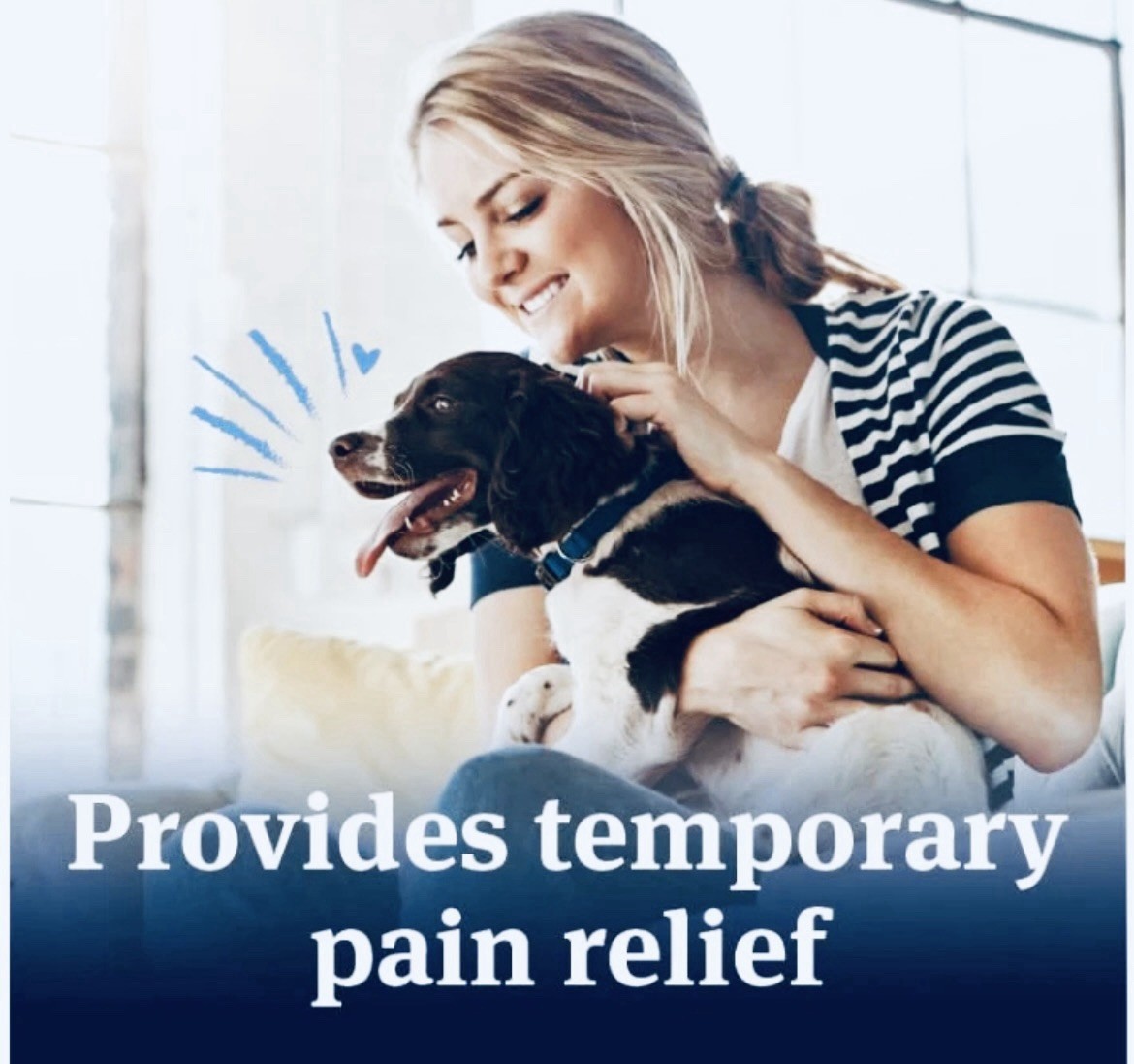 PetArmor Aspirin Hip & Joint Pain Relief Chewable Tablet S-M Dogs 75ct 2 Pk