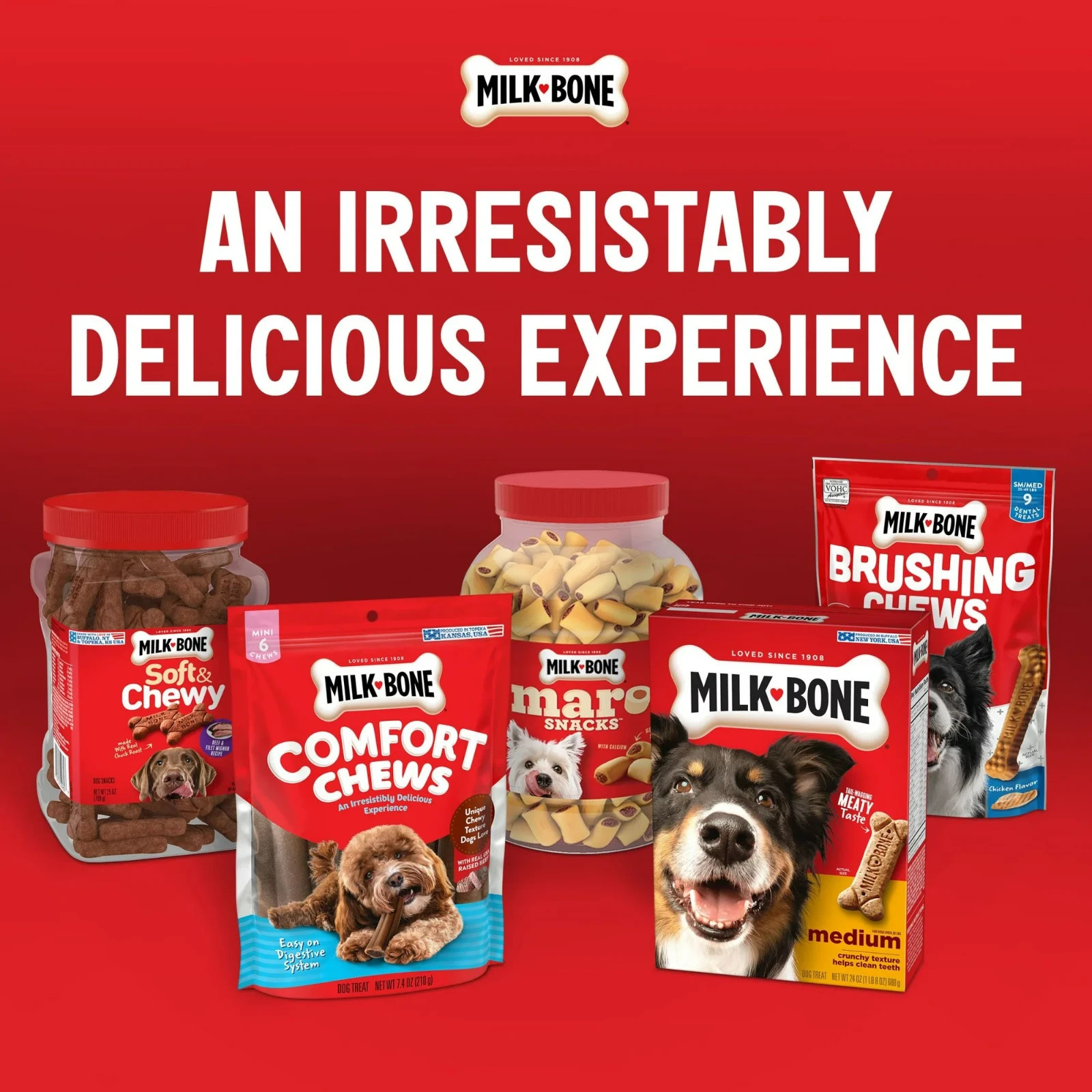 Milk-Bone Original Dog Biscuits, Medium Crunchy Dog Treats, 10 lbs
