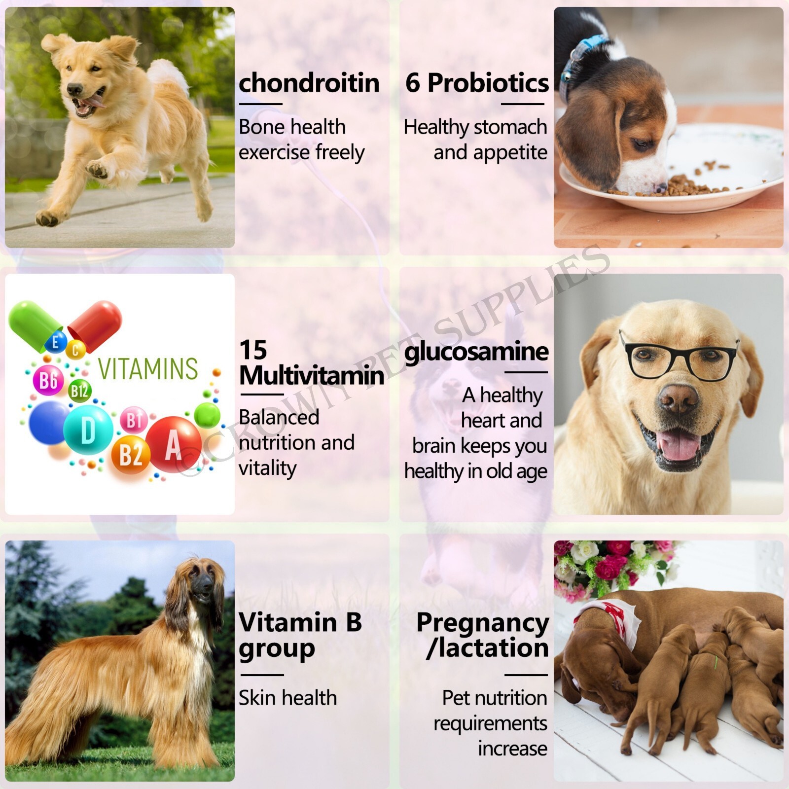 15 in 1 Dog Multivitamins and Supplements, Dog Hip and Joint Supplement, 150 CT