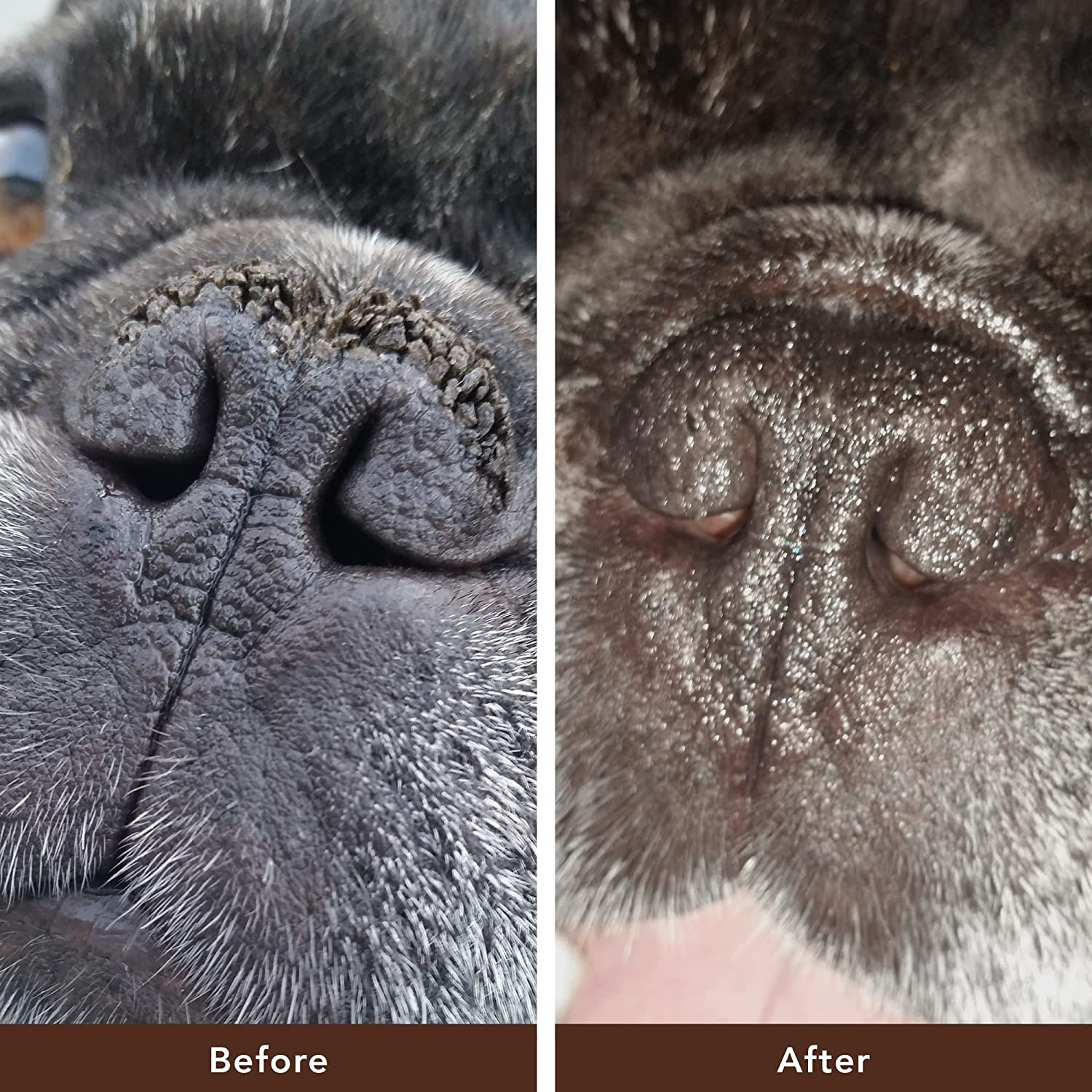 Dog Nose Balm Chapped Crusty And Dry Organic All Natural Ingredient Trial 0.15oz