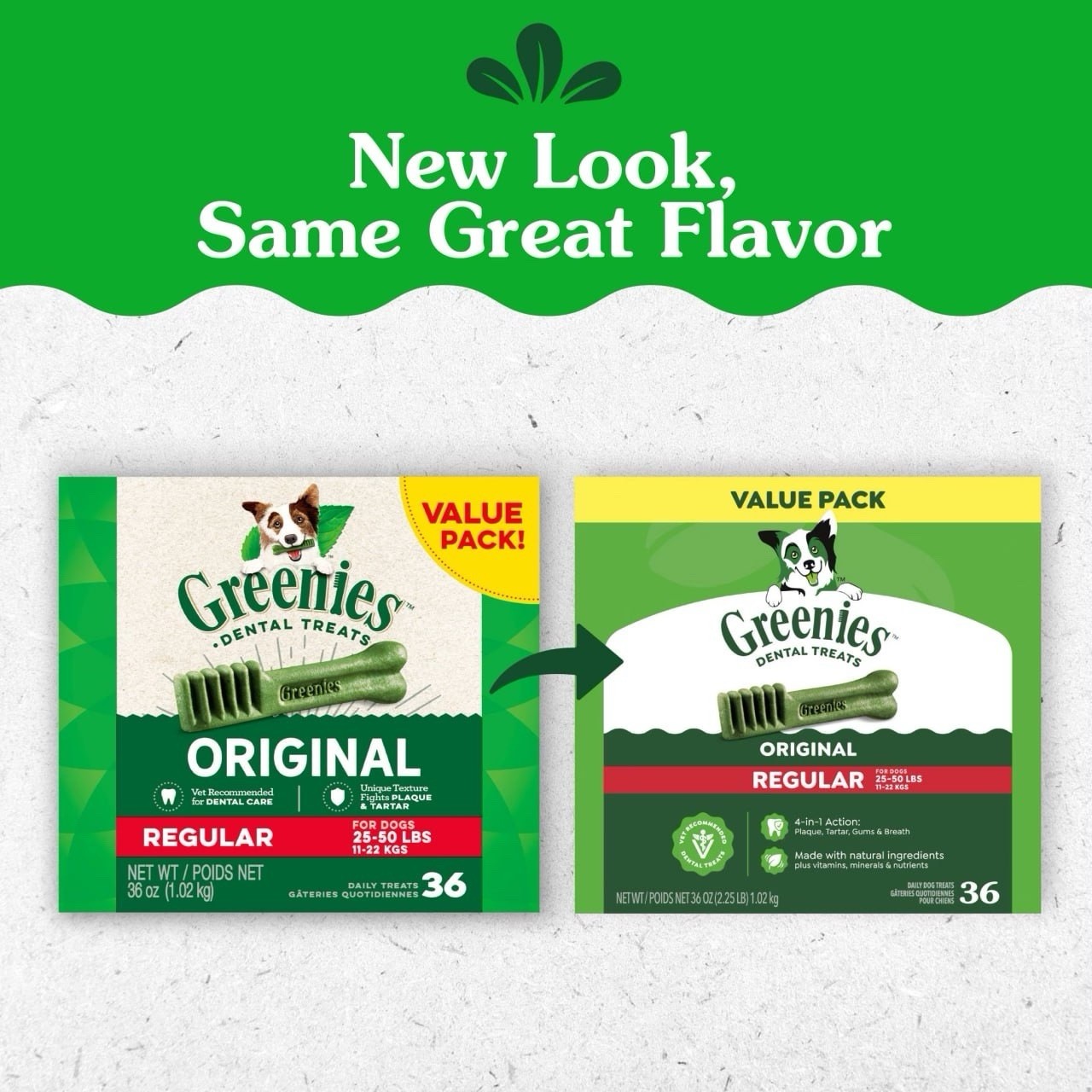 Greenies Vet-Recommended Natural Dental Dog Treats, Regular Size, 36 oz