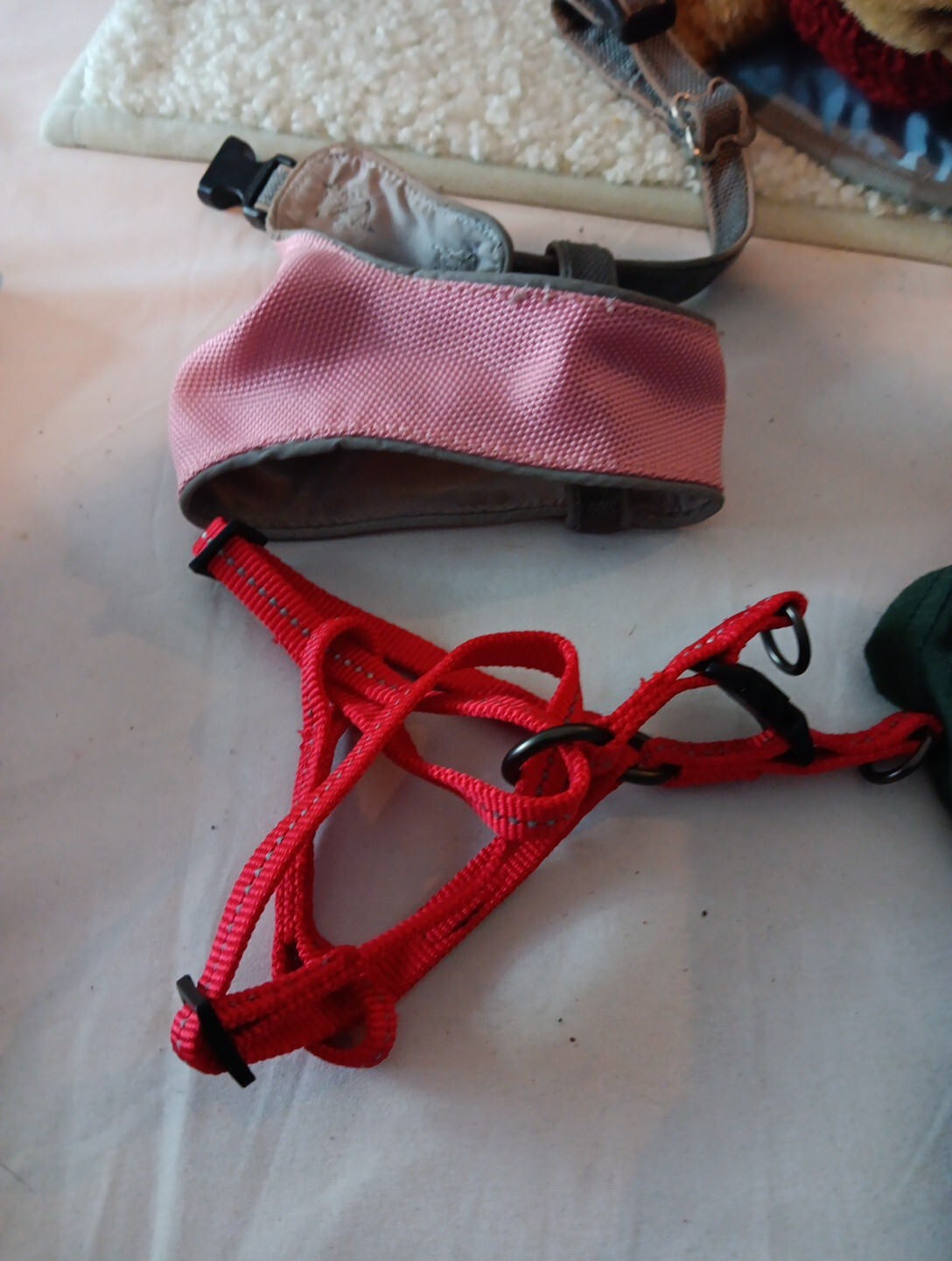Tomkas Carrier Pouch 7 Small Tops 2 Harness 1 Chew Collar AL For Xtra Small Dog