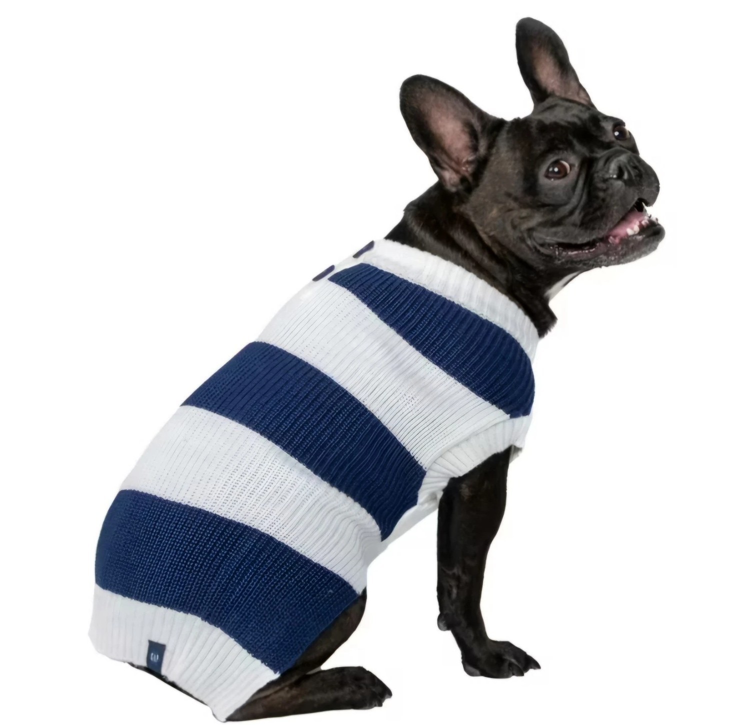GAP Logo Blue & White Striped Henley, Pullover Puppy/Dog Sweater, Large