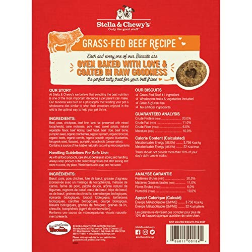 Freeze-Dried Raw Coated Biscuits Dog Treats 9 Ounce (Pack of 1) Beef