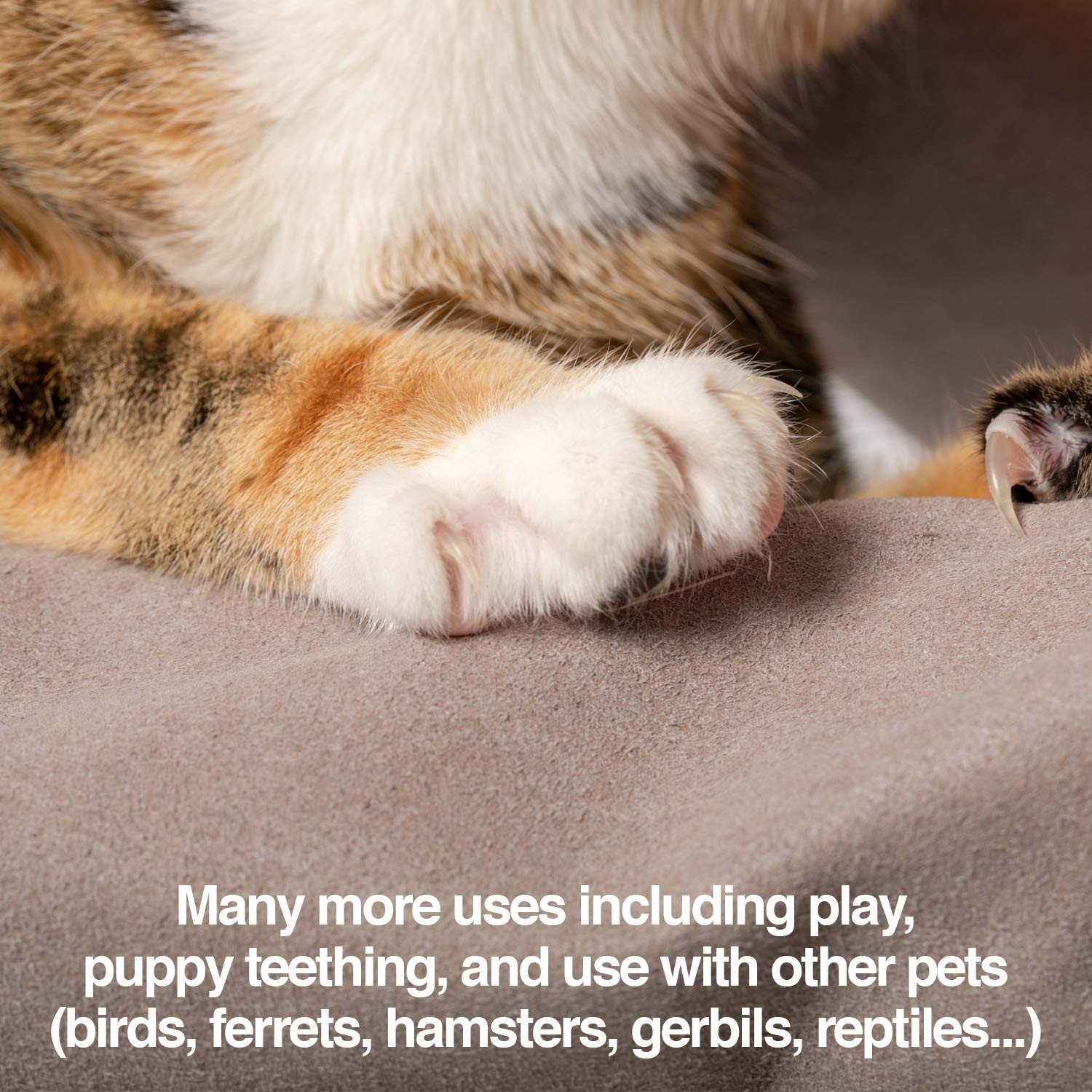 Multipurpose Pet Grooming Glove – Scratch & Water Resistant, 12-Month Warranty