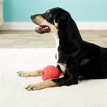 Jolly Pets Jolly Tuff Tosser Unique Rubber Durable Interactive Dog Toy 3 inch