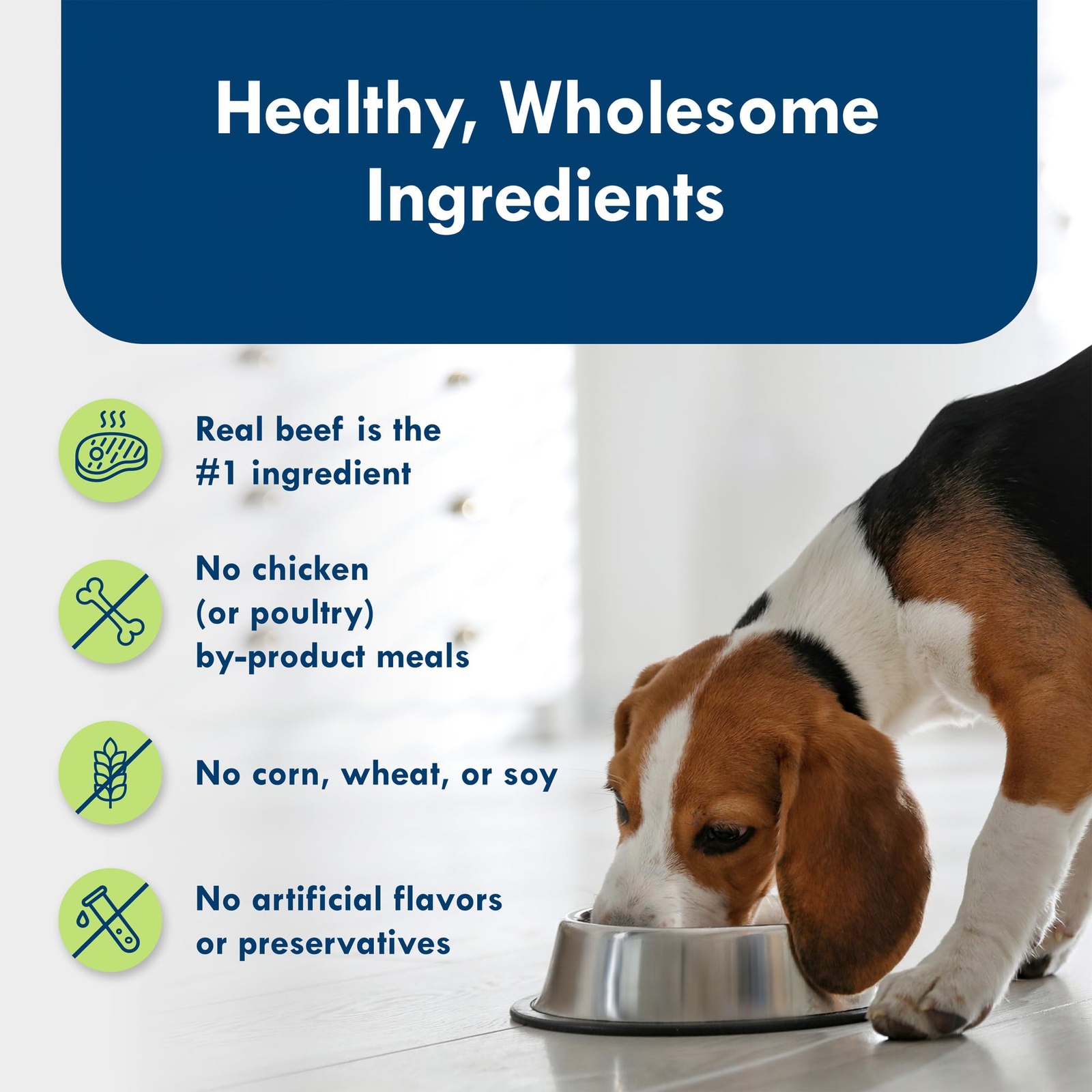 Blue Buffalo Divine Delights Filet Mignon Wet Dog Food for Small Breeds 12 Cups