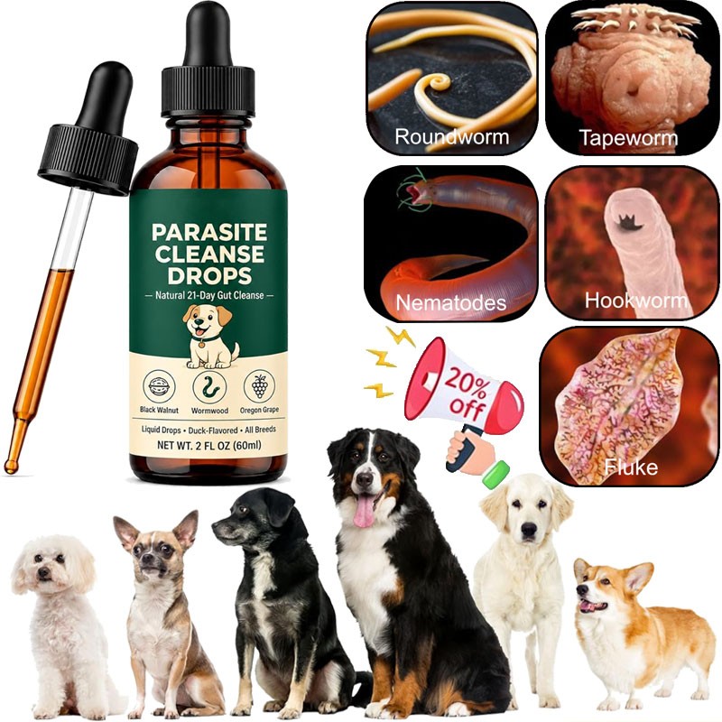 3 Pack Parasite Cleanse Drop Six Natural Herbal Actives Applicable to All Dogs