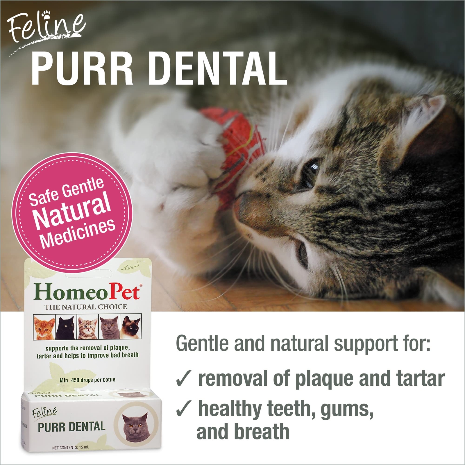 HomeoPet Feline Purr Dental Natural Cat Teeth Cleaner 15mL Safe Oral Care