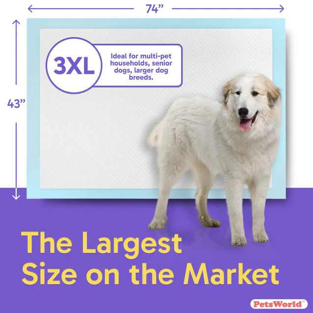 PETSWORLD Premium Extra Large Dog Pee Pads (43″ x 74″)Jumbo Puppy Training Pads