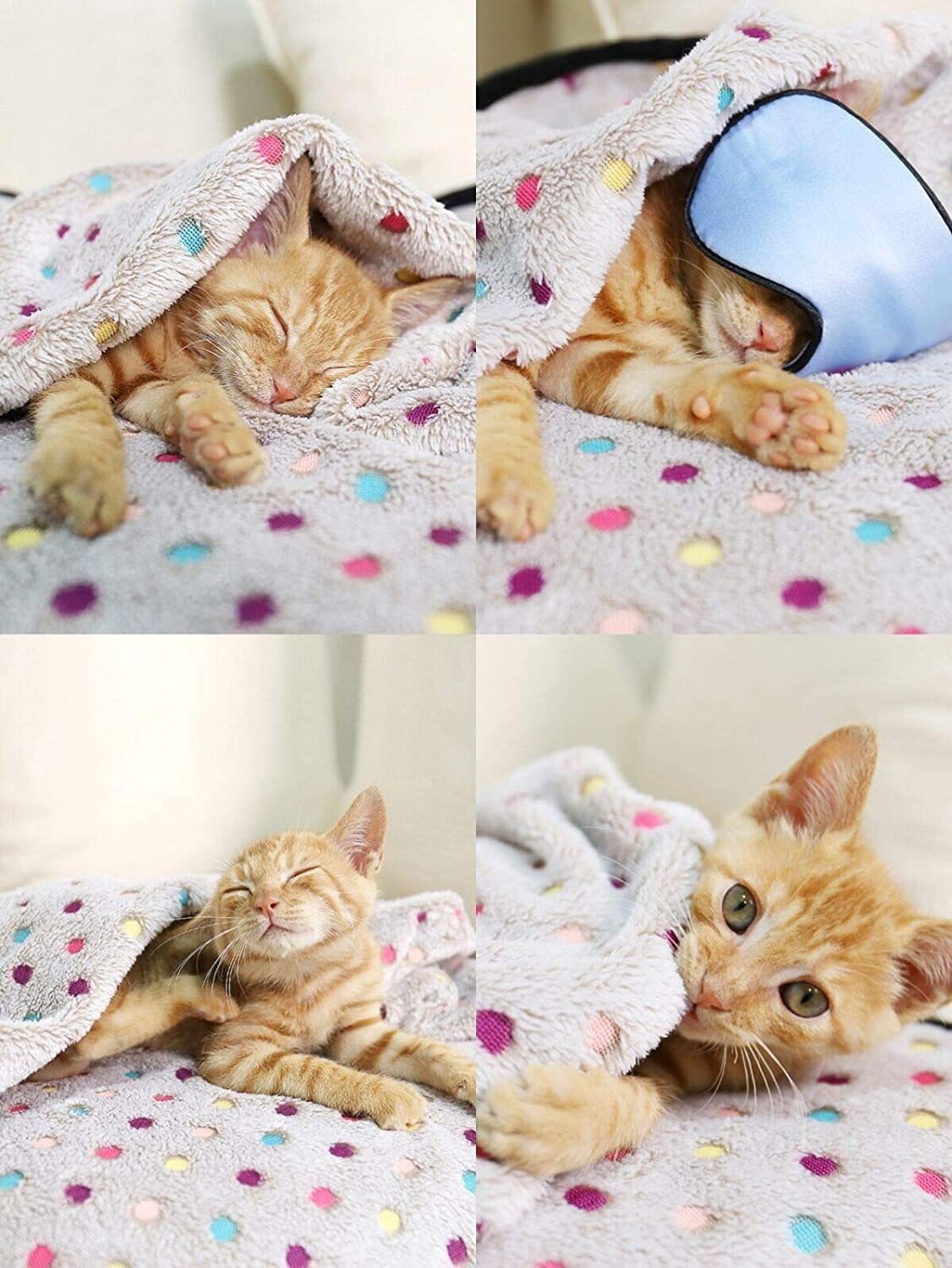 S Cute Lovely Puppy Cat Pet Dog Blanket Soft Mat Pad Bed Cover Flannel Throws