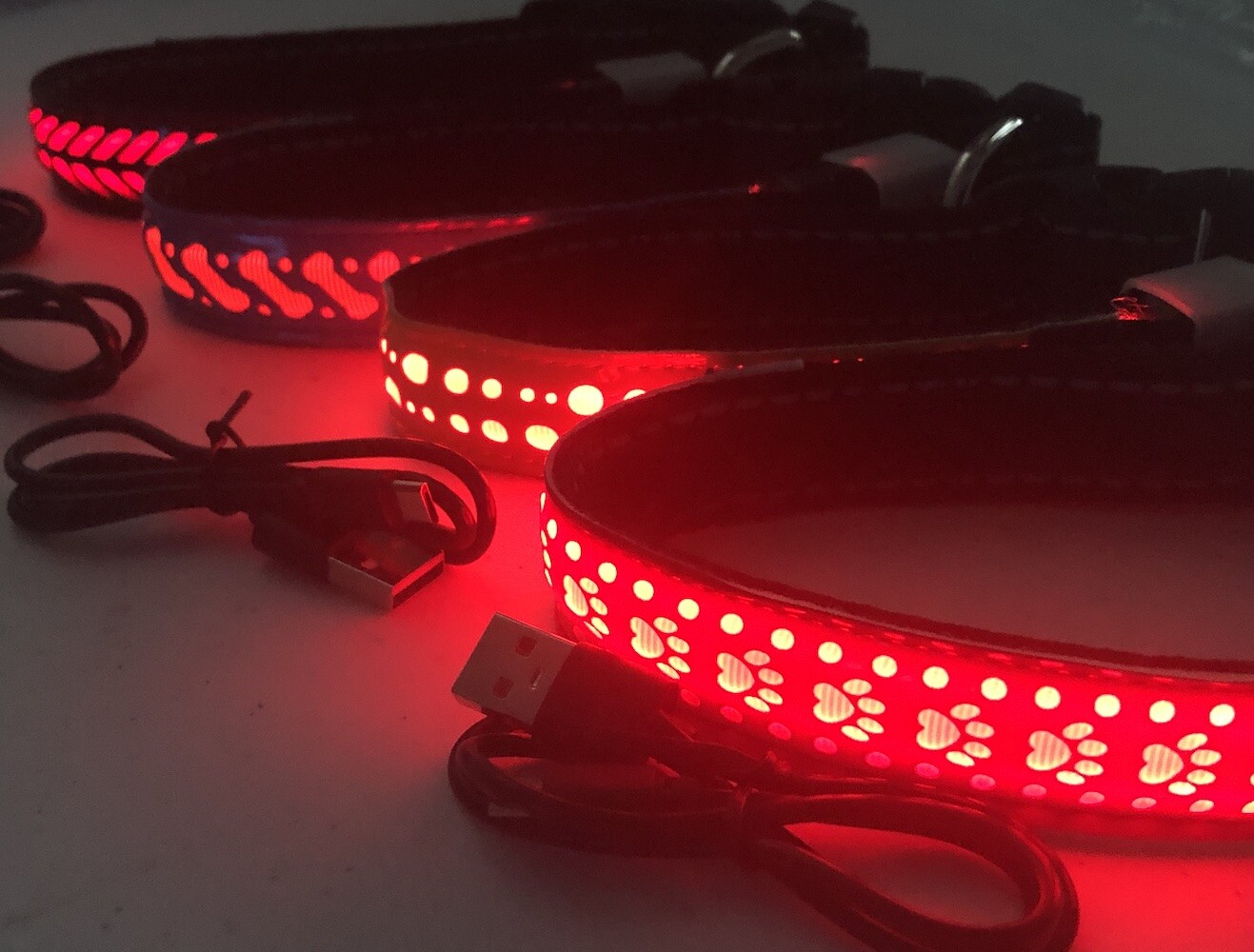 PREMIUM Rechargeable LED Pet Glow COLLAR rugged safety flash light-up FOR dog
