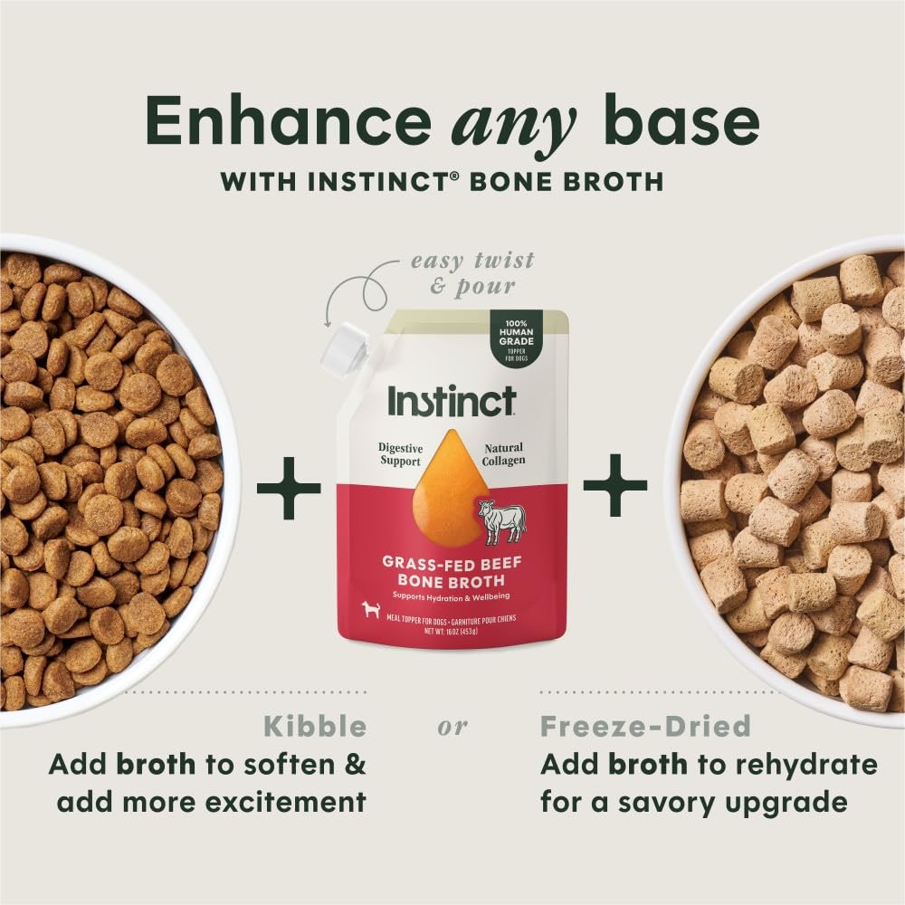 Instinct Bone Broth, Meal Topper for Dogs, Human 16 Fl Oz (Pack of 1), Silver