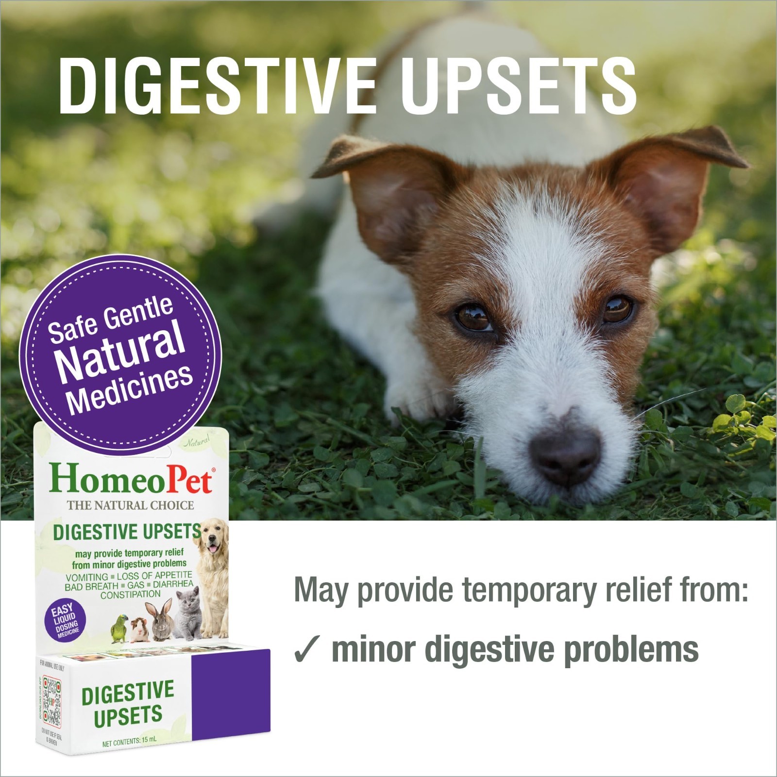 Natural Digestive Support for Dogs & Cats – Gentle, Safe Relief for Upsets, 15ml