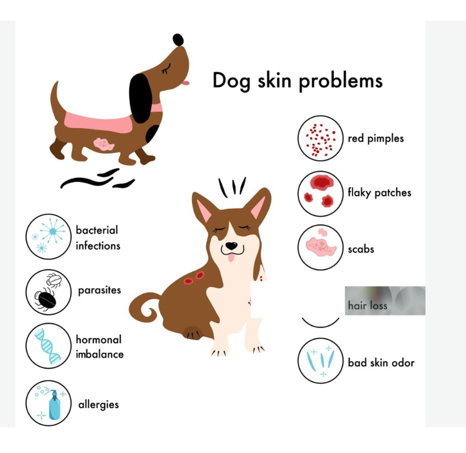 SKIN IRRITATION CREAM FOR PETS (4 Oz- Made in USA) Dogs and cats
