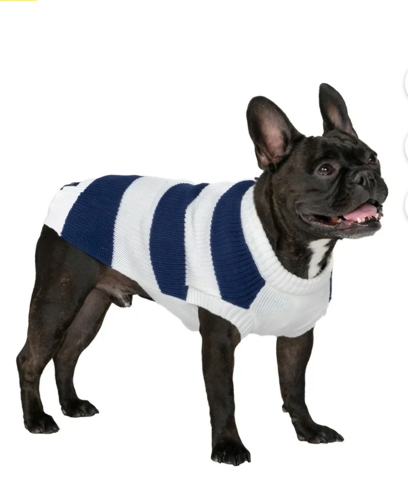 GAP Logo Blue & White Striped Henley, Pullover Puppy/Dog Sweater, Large