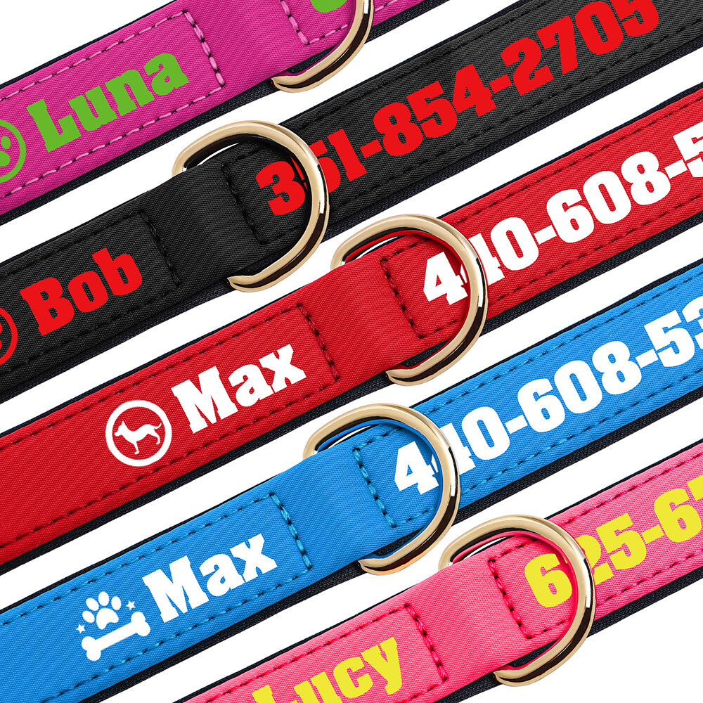 Personalized Nylon Dog Collar Custom Name Phone Print Soft Padded Adjustable S-L