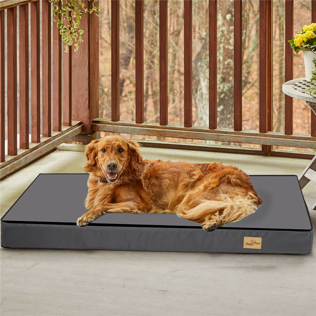 Jumbo Orthopedic Dog Bed Memory Foam Pet Bed Mattress Waterproof Liner Pet Mat