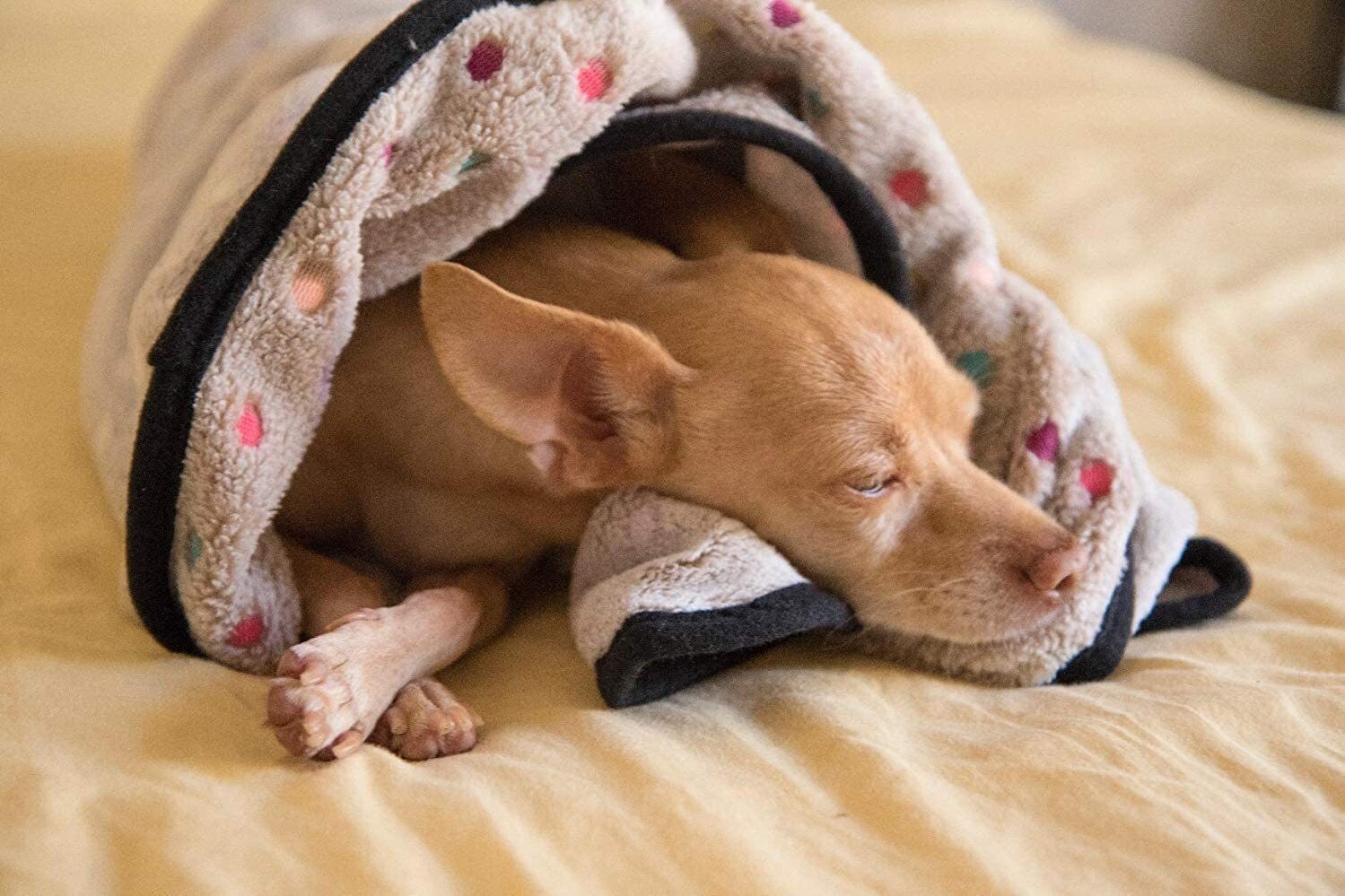 S Cute Lovely Puppy Cat Pet Dog Blanket Soft Mat Pad Bed Cover Flannel Throws