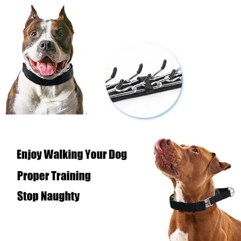 Adjustable Dog Prong Traing Collar with Rubber Caps for Medium Large Breed