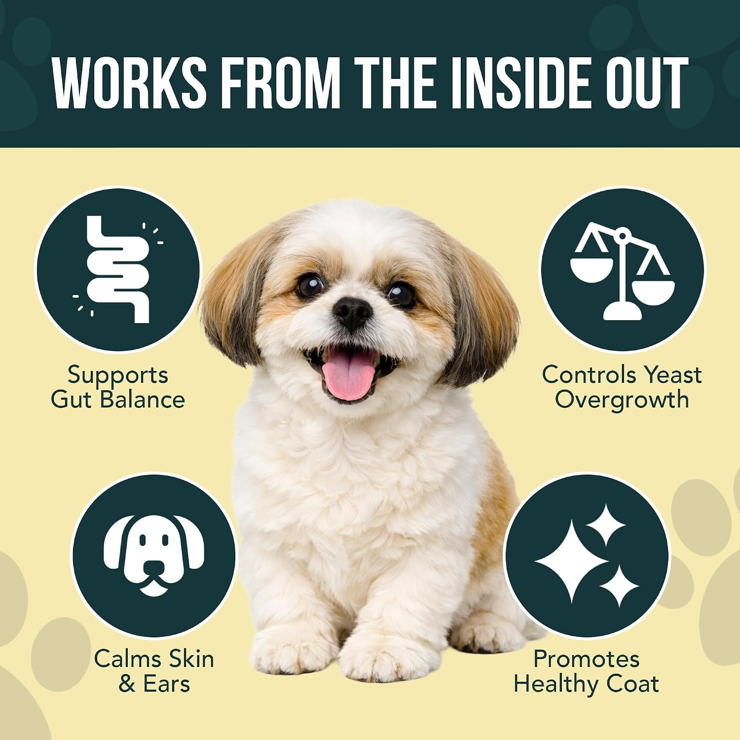 Yeast Infection Treatment for Dogs Drops (7 in 1 Formula) Soothes Itchy & Irrita