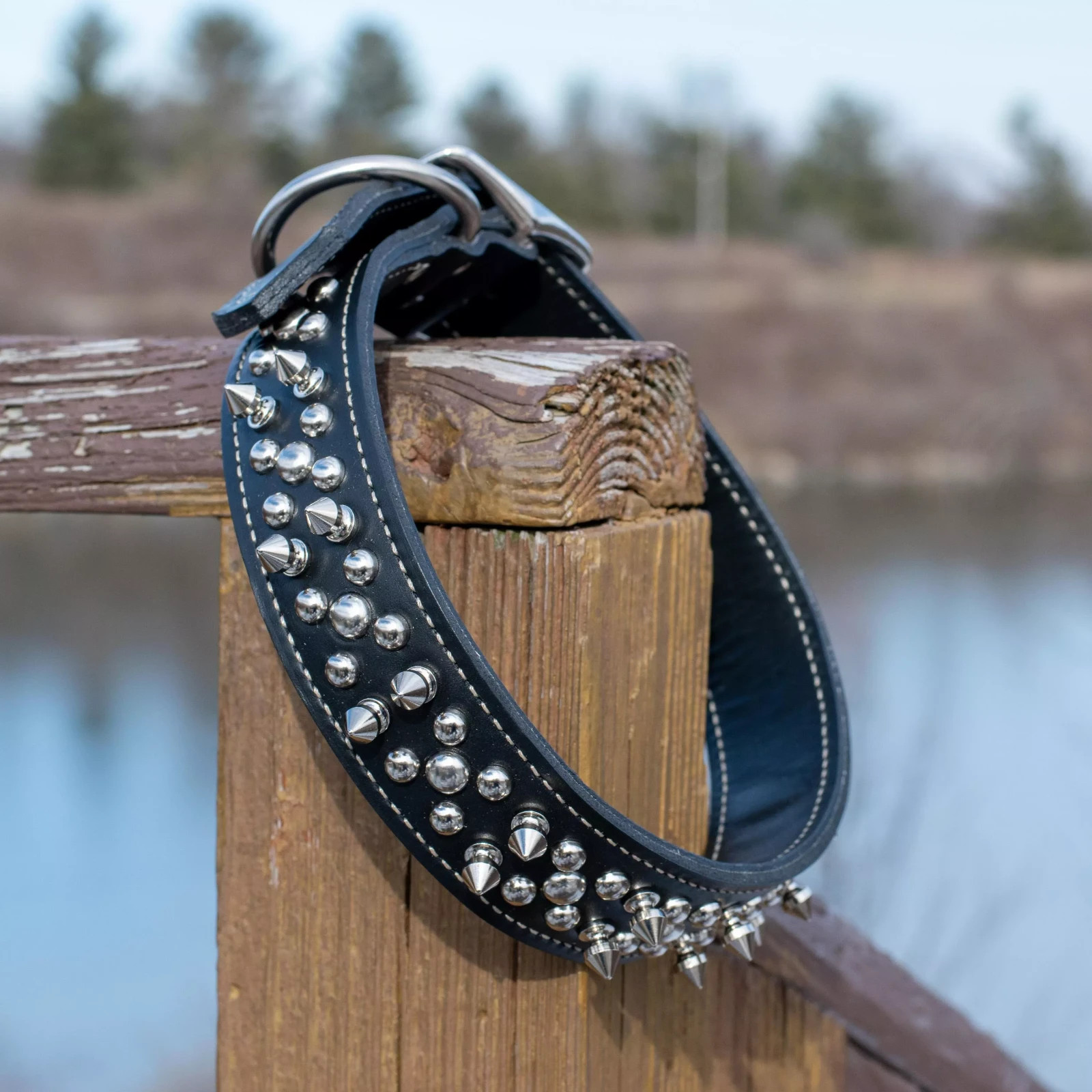 Circle T Oak Tanned Leather Double-Ply Spiked Dog Collar 1 1/2″ x 24″