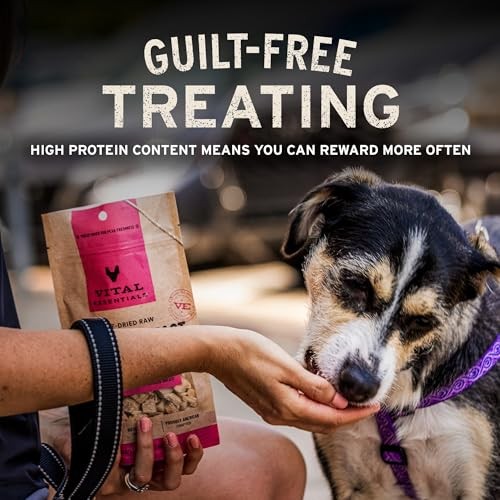 Freeze Dried Raw Dog Treats | Single 9 Ounce (Pack of 1) Chicken Necks