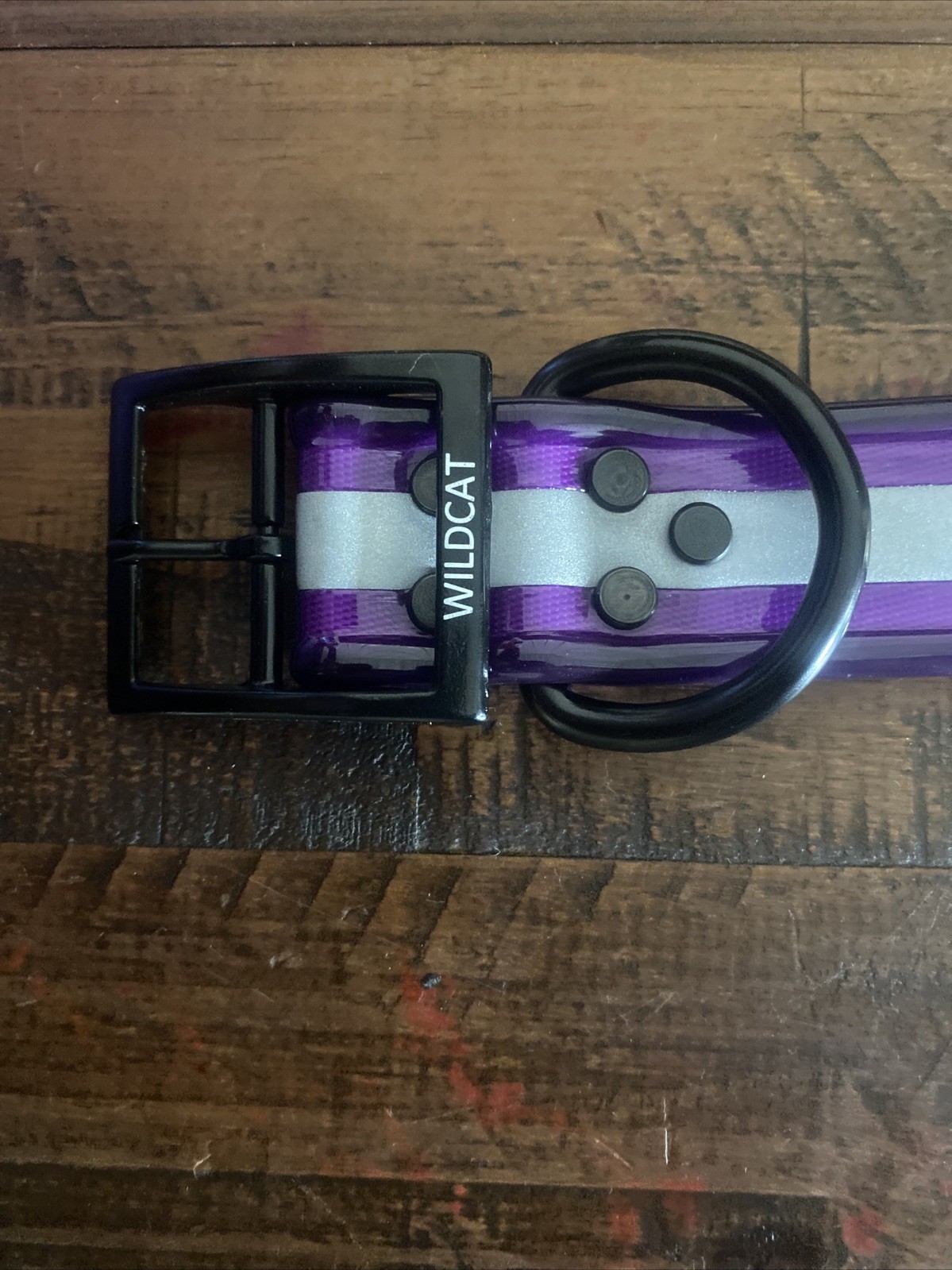 Purple Reflective Dog Collar 1 1/2 Inch X 20 Inch Long At Last Hole On Collar