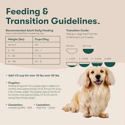 Jinx Premium Grain-Free Dry Dog Food, for All Lifestages 4 Pound (Pack of 1)