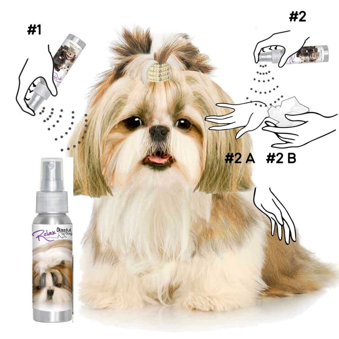 Shih Tzu Relax Dog Aromatherapy | Calms Your Anxious, Scared Shih Tzu Naturally