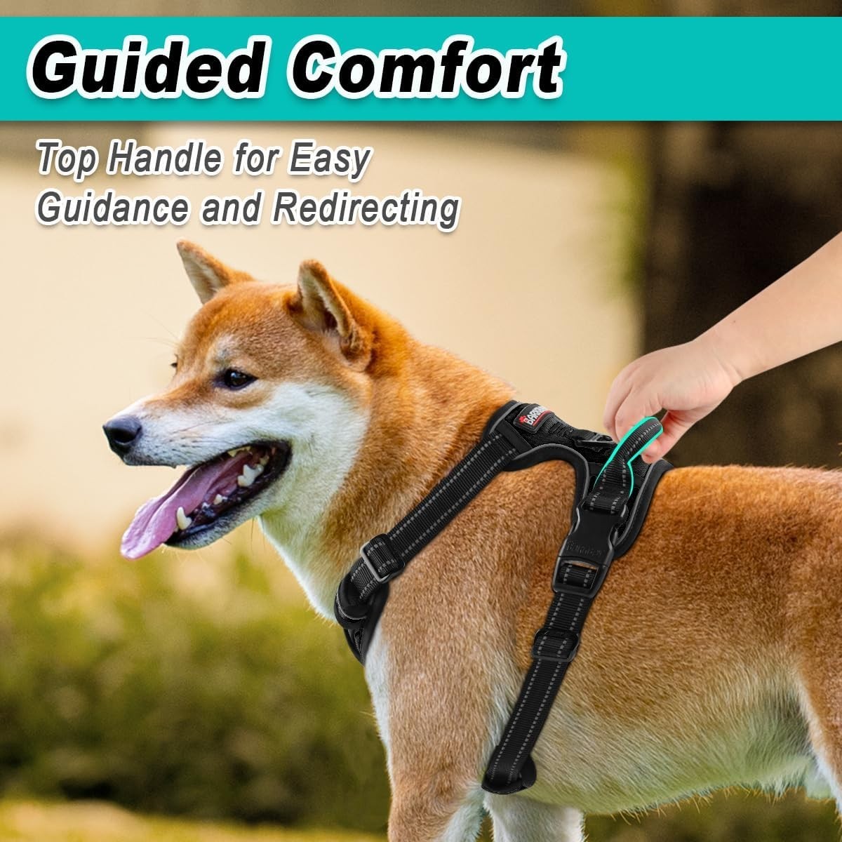 BARKBAY Dog Harness No Pull for Small Dogs – Adjustable, Reflective, Xtra Small