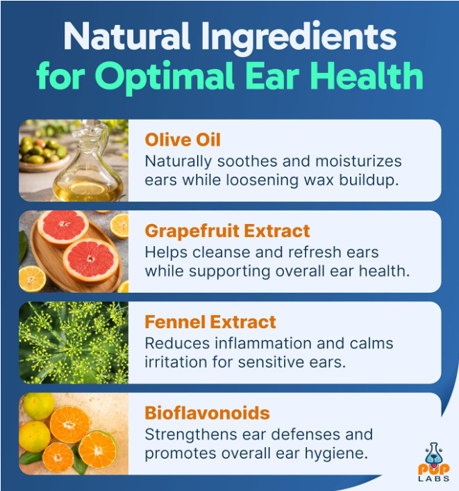Ear Clear, Natural Dog Ear Cleaner and Infection Treatment for Dogs, Dog Drops