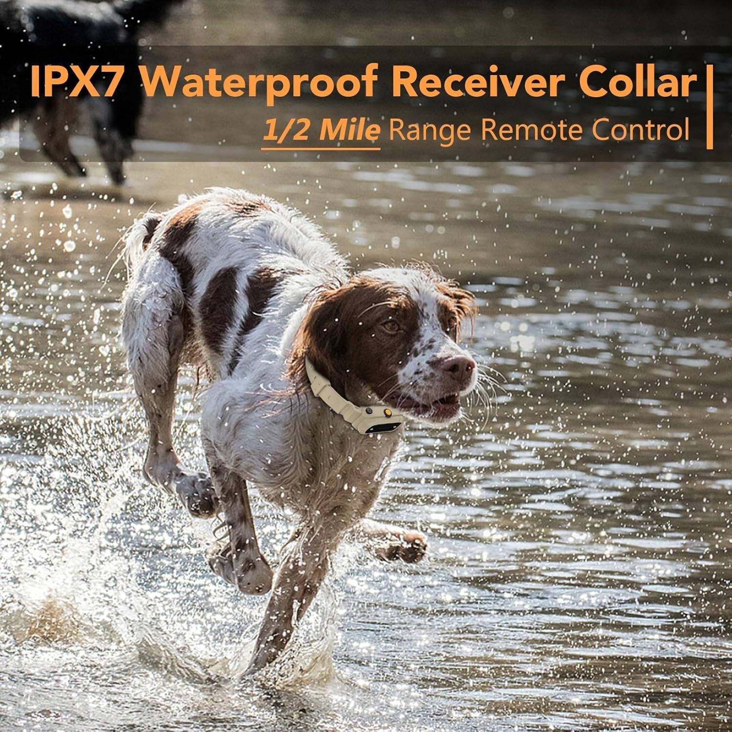 2in1 Dog Shock Collar Training w/ Remote 1/2 Mile IPX7 Waterproof Electric US