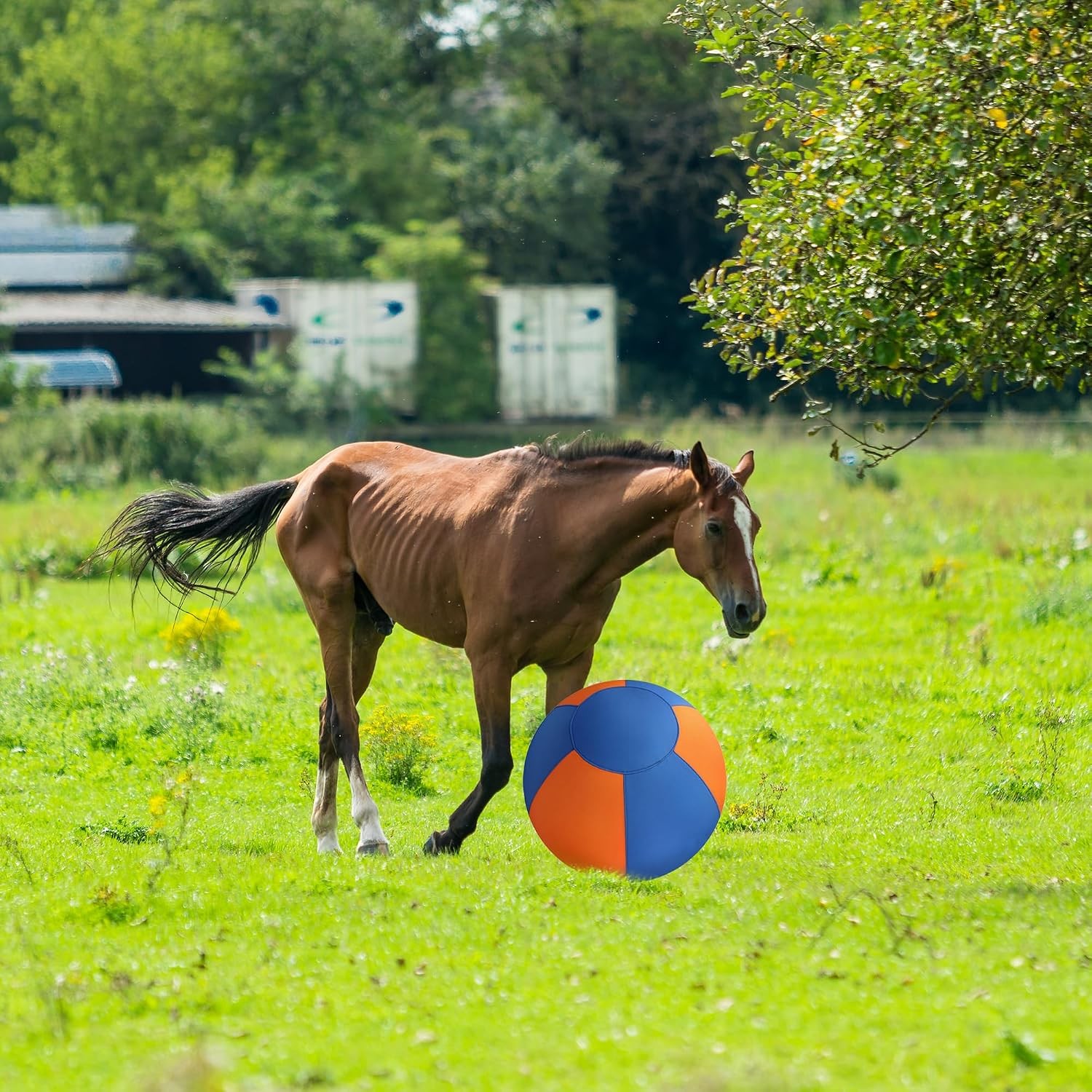 Calming Jumbo Herding Ball, Durable Inflatable Dog Toy Outdoor with Handle, Pump
